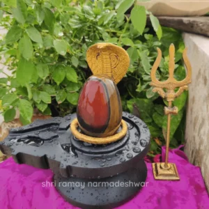 Narmada Shivling – Sacred Stone Shivling with Cobra & Trishul for Divine Puja