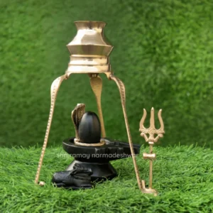 Shivling for Home Pooja – Complete Worship Set with Trishul, Nandi, and Abhishek Pot
