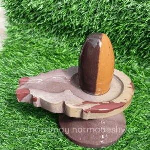 Ardhnareshwar Narmada Shivling – Unique Dual-Tone Narmada Stone for Divine Balance