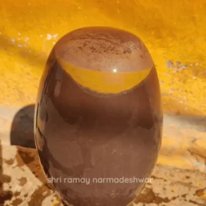 Tilak Dhari Narmadeshwar Shivling – Rare Narmada Stone with Natural Tilak Marking
