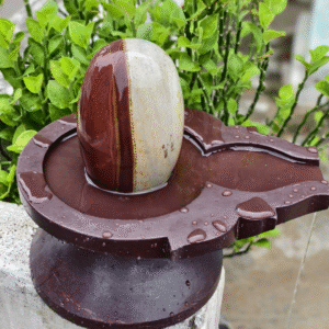Ardhnarishwar Narmadeshwar Shivling Set – 6 Inch Shivling with 12 Inch Jaldhara Base