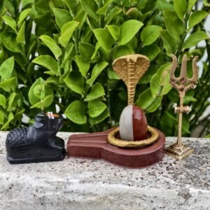 Natural Narmadeshwar Shivling Set with Brass Trishul and Nandi
