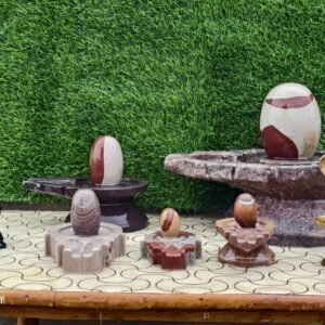Assorted Narmadeshwar Shivling Set with Multiple Jaladharis – Natural River Stone Collection