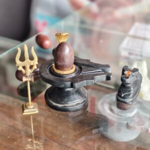 Premium Narmadeshwar Shivling with Brass Snake Hood, Trishul & Nandi – Natural Narmada River Stone Shivling Set for Puja