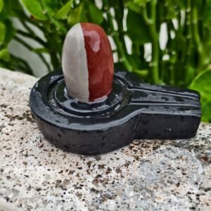 Rare Ardhnarishwar Narmadeshwar Shivling – Natural Dual-Tone Narmada River Stone Shivling for Home Temple and Puja
