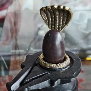 Natural Narmadeshwar Shivling with Brass Snake Hood – Original Narmada River Stone Shivling for Home Temple and Puja