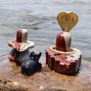 Natural Narmadeshwar Shivling Set with Brass Snake Hood & Nandi – River Stone Puja Collection
