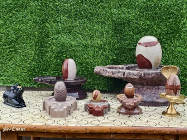 Assorted Narmadeshwar Shivling Set with Multiple Jaladharis – Natural River Stone Collection
