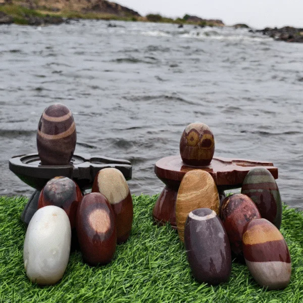 Natural Narmadeshwar Shivlings – Assorted Multi-Stone Collection
