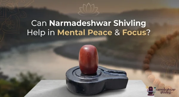 Can Narmadeshwar Shivling Help in Mental Peace & Focus?