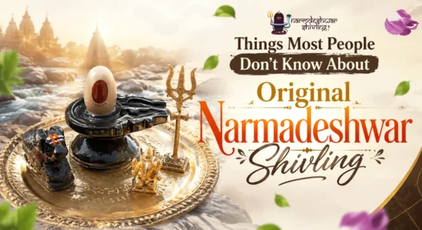 Things Most People Don’t Know About Original Narmadeshwar Shivling